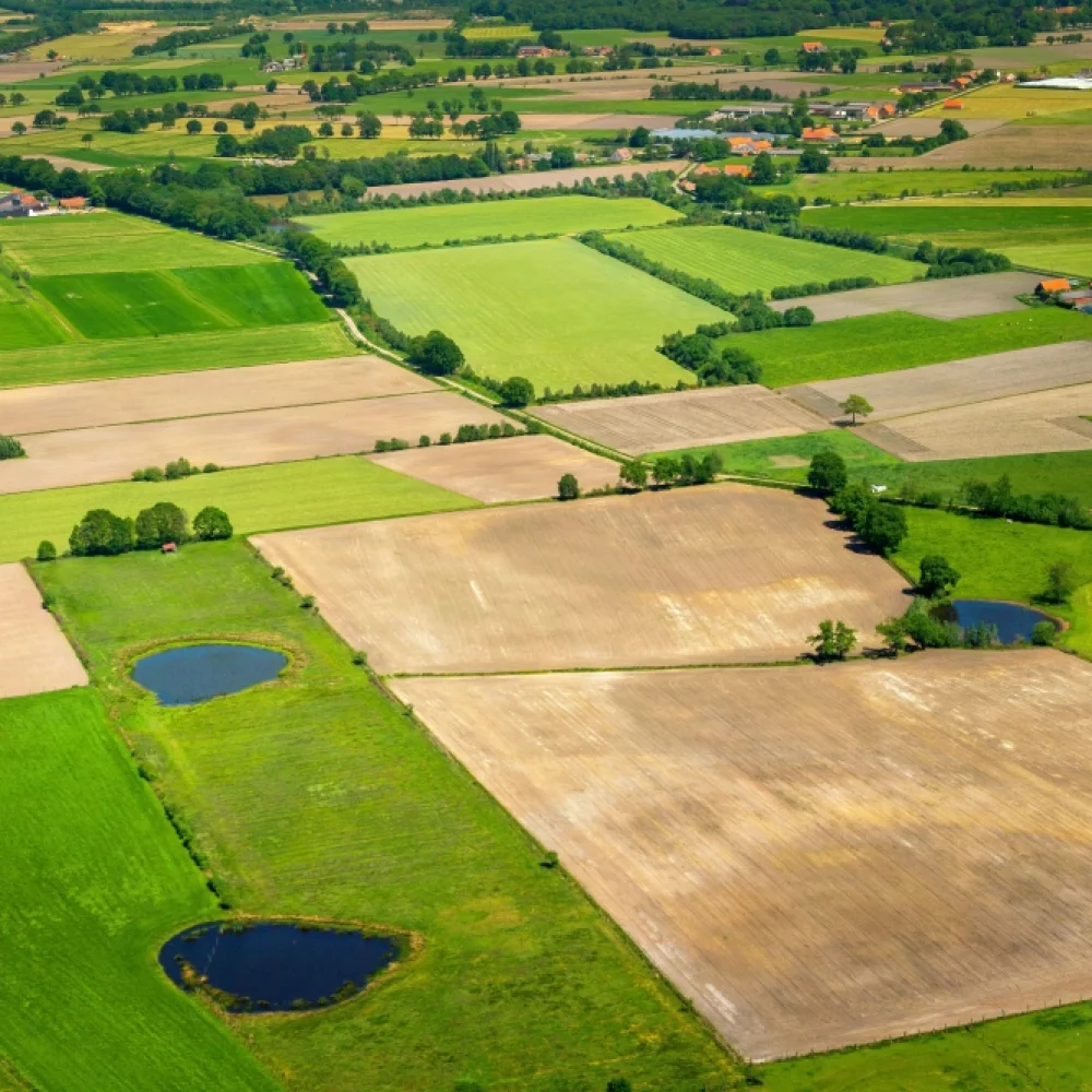 Infomoment landschapsherstel Brechtse Heide