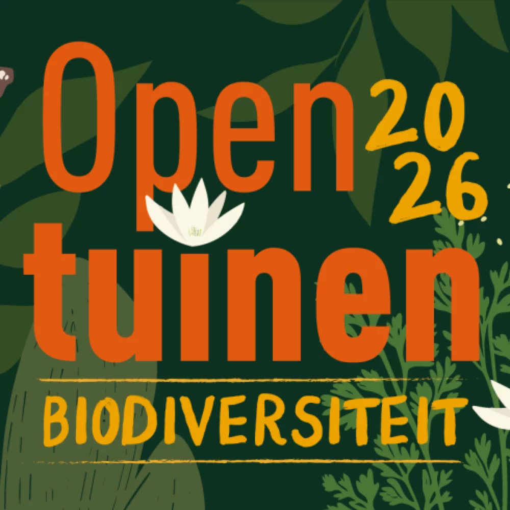 Workshop biodiversiteit in de tuin (Sint-Job in 't Goor)