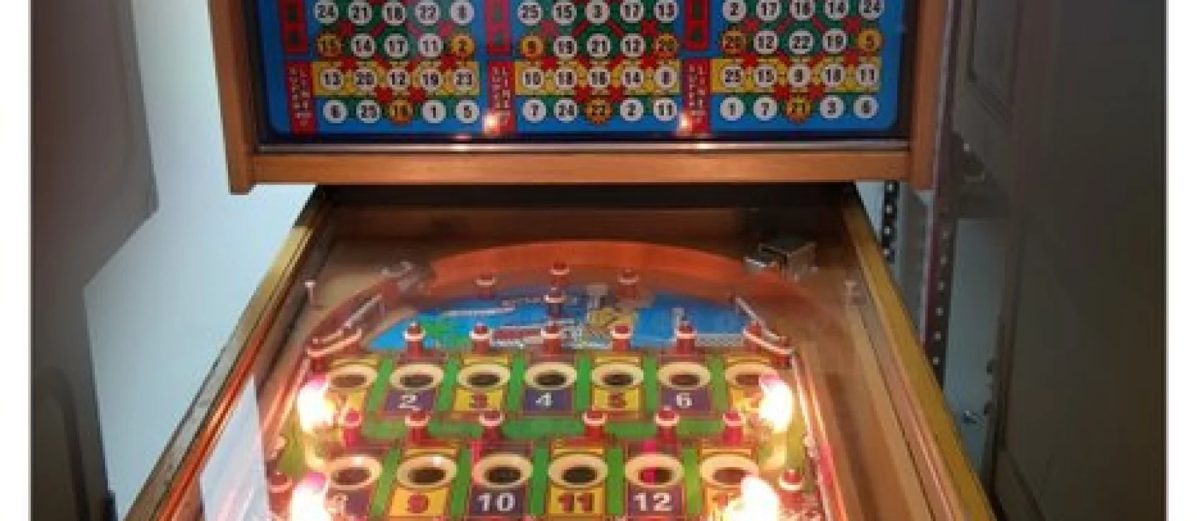 Vergunning voor kansspelen in drankgelegenheden