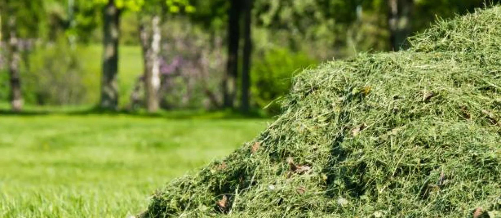 Waarom mag je geen gras in de natuur gooien?