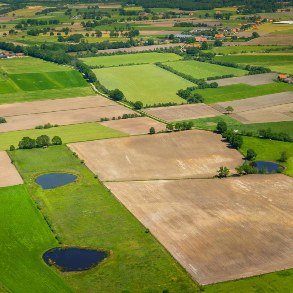 Beheercommissie Brechtse Heide