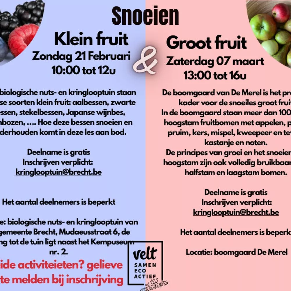 Snoeien van Groot en Klein Fruit