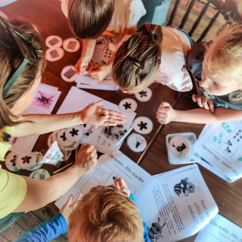 Workshop Bietje de Wilde Bij