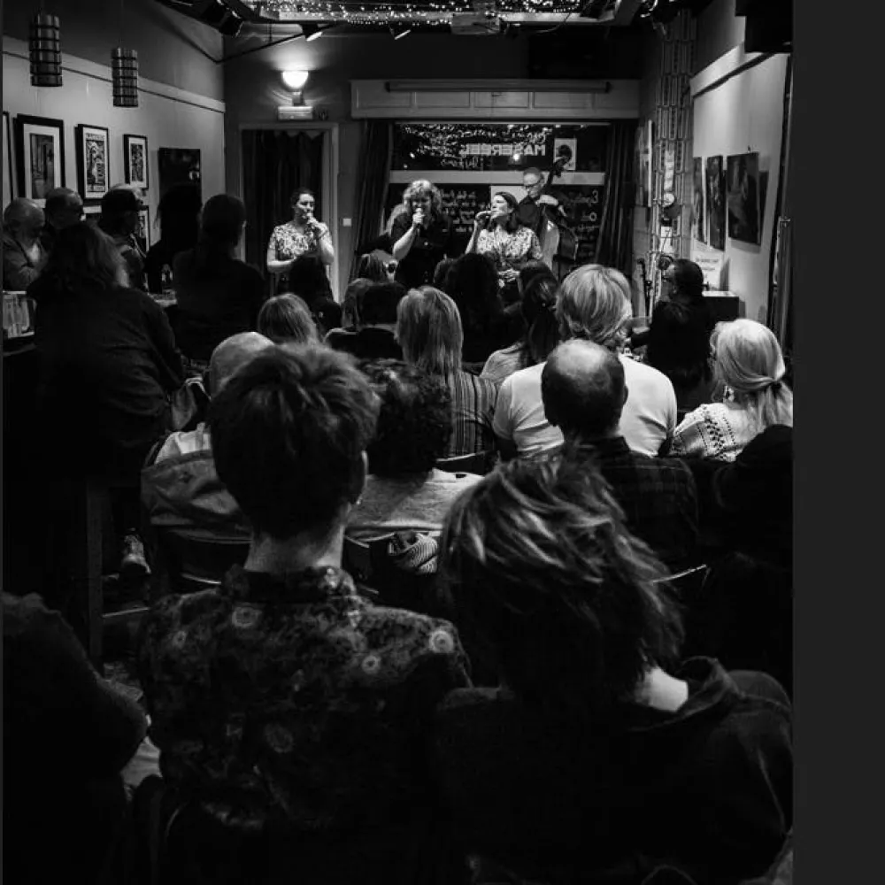 Kapelsessies: Wildflowers - Warme samenzang en pure americana