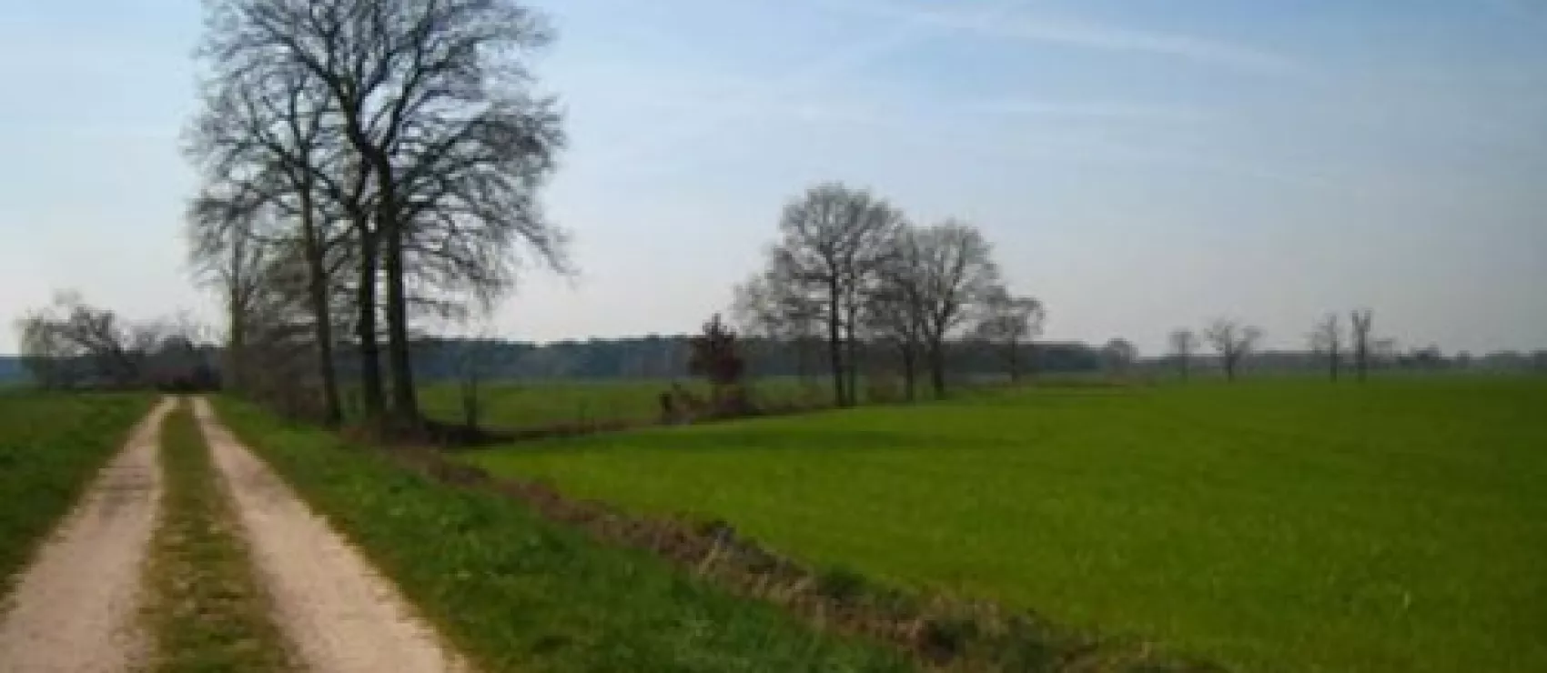 Beheercommissie Brechtse Heide