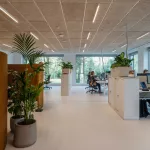 Consulent maatschappelijke veiligheid (B1-3)
